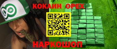 индика Дубна
