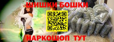 индика Дубна