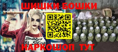 индика Дубна
