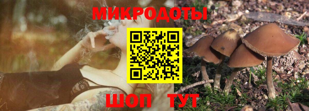 Галлюциногенные грибы Magic Shrooms  Вход с VPN  Мытищи 